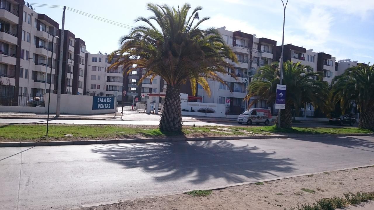 Apartamento Arriendo De Temporada La Serena